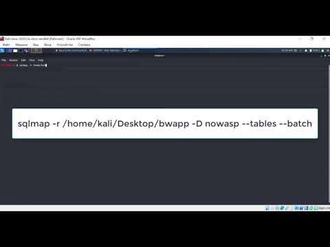 13 SQLMap
