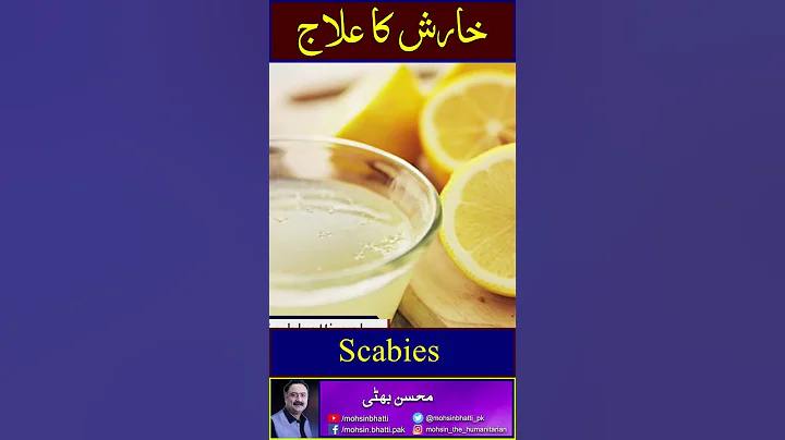 Scabies home remedy #skincare #scabies #scabiestreatment #skincaretips #skinirritation