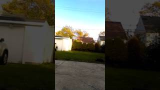 Wwe best video ever 2K1000