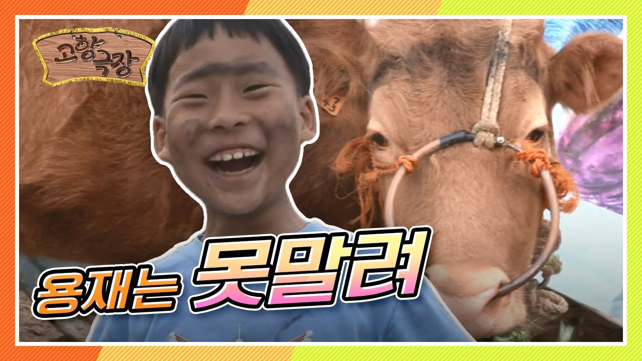 [다시보는 고향극장] 동에 번쩍 서에 번쩍 마을을 휘젓는 그놈! 사고뭉치 용재는 못말려~  KBS 130606 방송