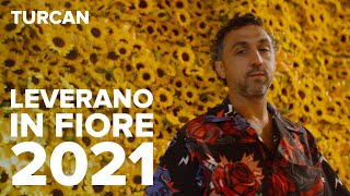 видео: Leverano in Fiore 2021 || Dmitry Turcan / Дмитрий Туркан #МагияФлористики картинка: Leverano in Fiore 2021 || Dmitry Turcan / Дмитрий Туркан #МагияФлористики
