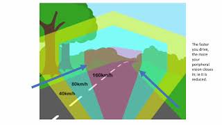 Peripheral Vision and Driving Fast
