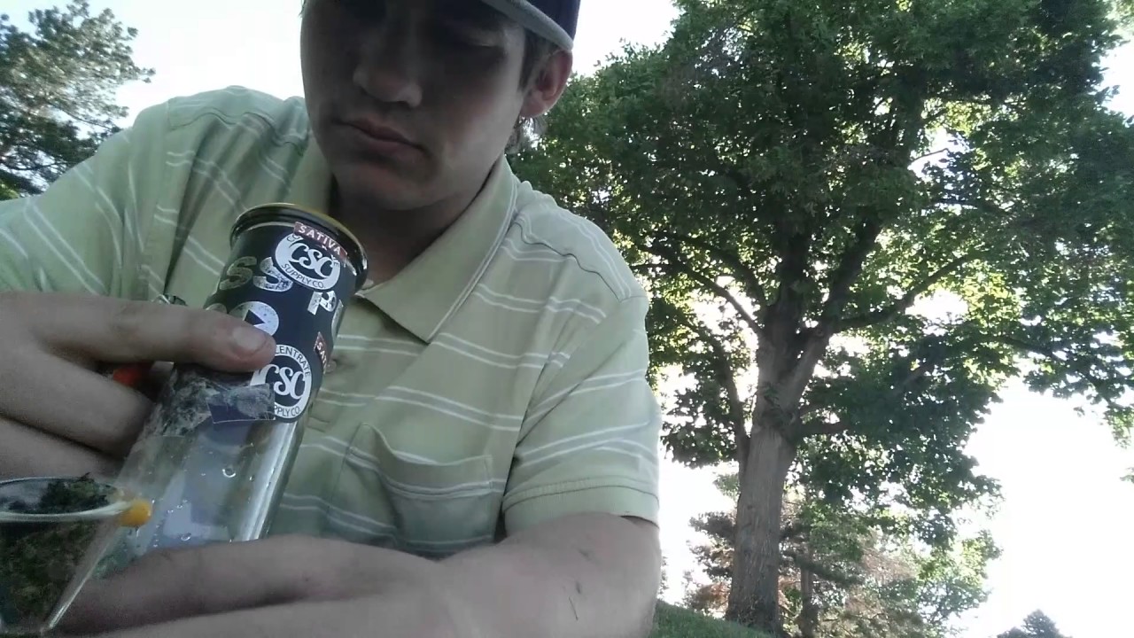 Dabs at a park in Denver