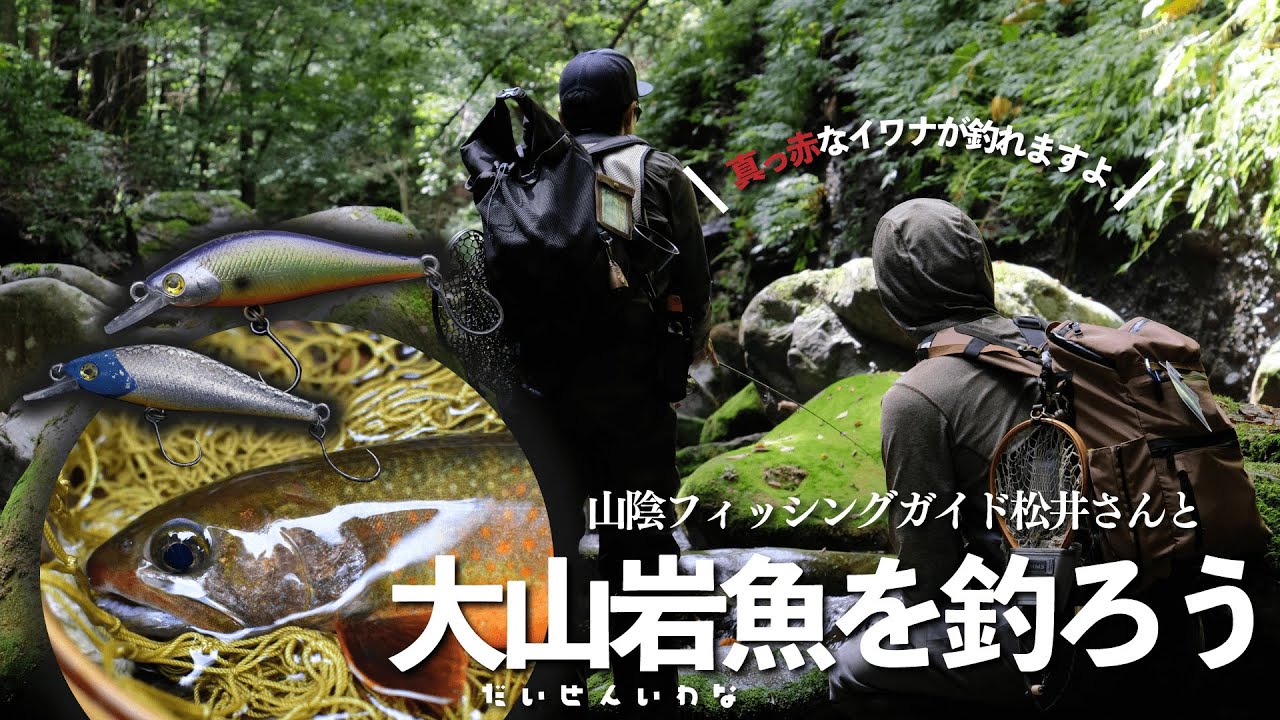 【渓流ガイド】山陰トラウトフィッシングガイドの松井さんと大山(だいせん)イワナを釣ろう！