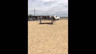 Woody and Sianna jumping