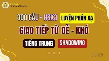 300 Câu Luyện Phản Xạ Tiếng Trung HSK3 | Từ Dễ Đến Khó Cho Người Tự Học