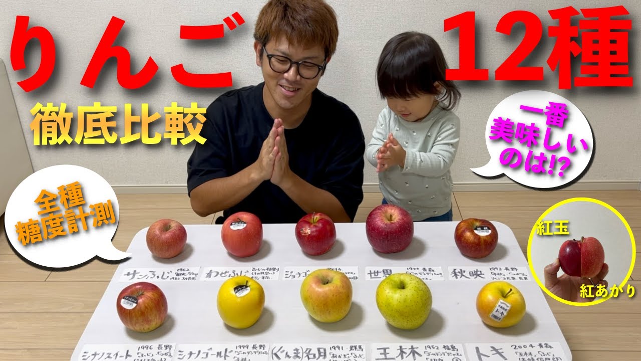 【買う前に見て】主要「りんご」12品種 徹底解説！糖度検査と食レポ！一番美味しいりんごは？