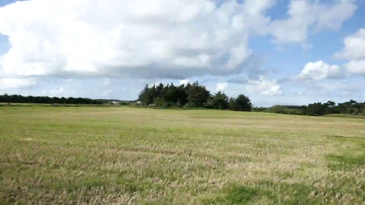 Robert Green "Phoning"