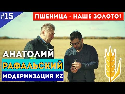 Анатолий Рафальский. Пшеница - наше золото / Модернизация KZ