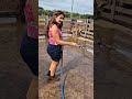 Satisfying Cow Farm Cleaning with Water Hose | Farm Life Daily Routine #villagelife  #farming