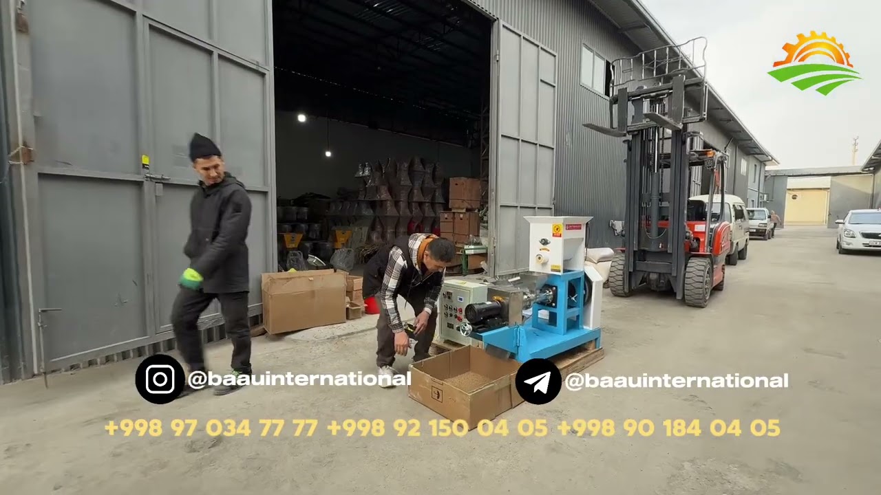 11 февраля 2026 г.