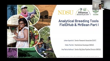 Analytical Breeding Tools FielDHub, MrBean pt1