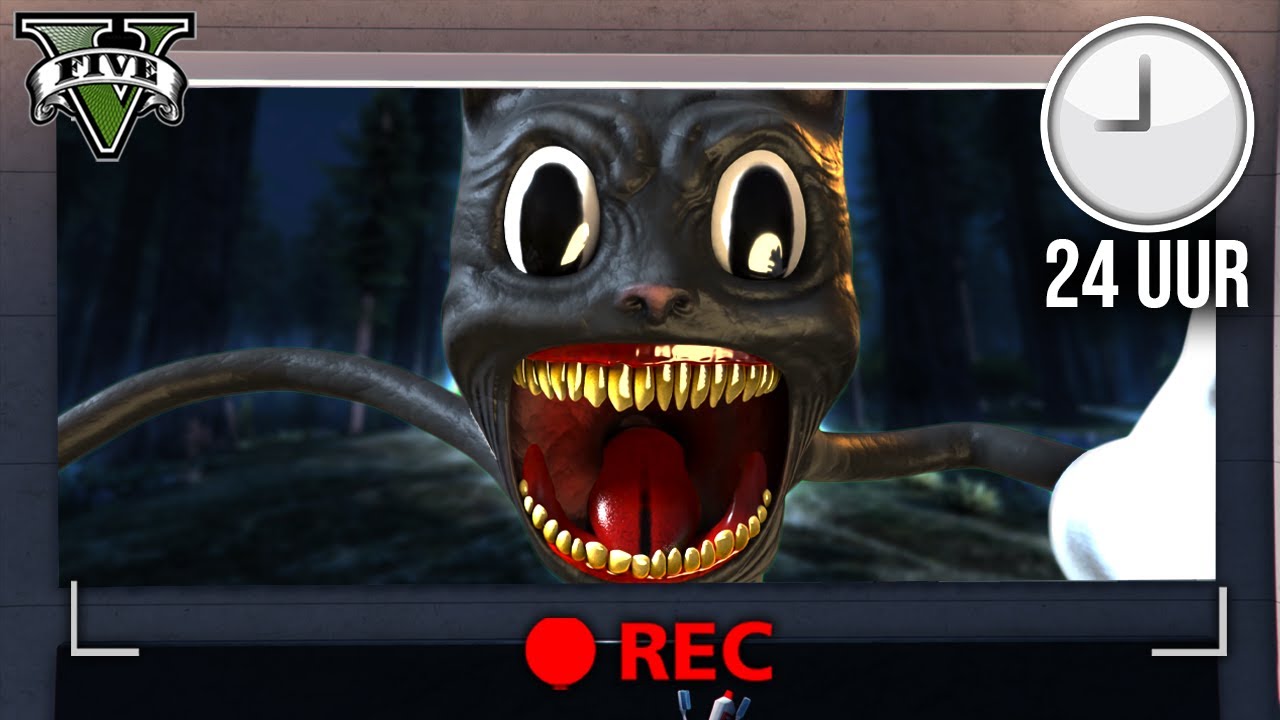 24 UUR LEVEN ALS CARTOON CAT..! || GTA 5 #110