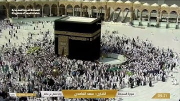 سورة  الأحزاب بصوت القارئ سعد الغامدي.