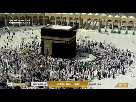 سورة الأحزاب بصوت القارئ سعد الغامدي