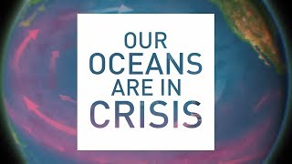 Rethink Plastic and #StopSingleUse