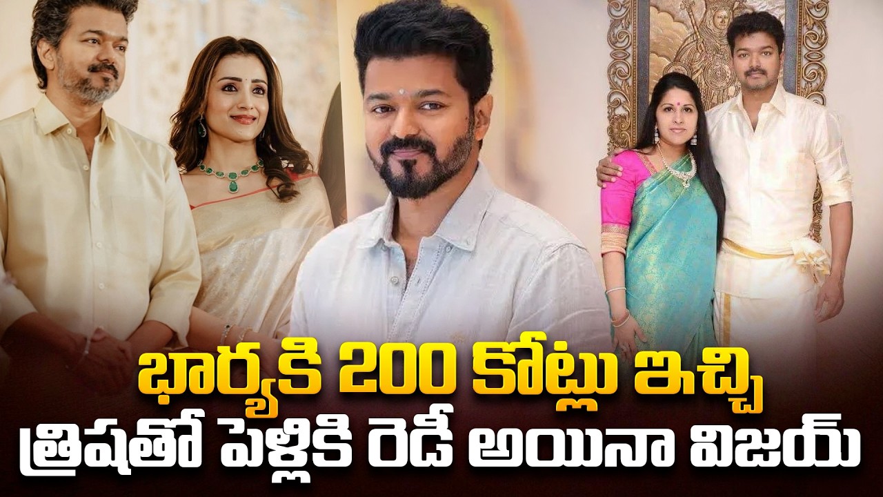 త్రిషతో పెళ్లికి రెడీ అయిన విజయ్? | Thalapathy Vijay and Trisha Latest News |Viral Updates