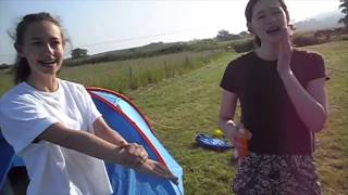 silver dofe