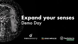 Neosensory x Edge Impulse "Expand Your Senses" Contest Demo Day screenshot 4