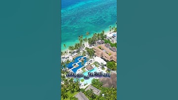 سورة التوبة و؛،كا؛.نك تسمعها لأو.ل مر.ة🏵️💐🌼،.💮💝،؛❤️💕بصوت الشيخ حمزة مدبو؛ح 💛🌻💐؛،💕🌷💝..🌺