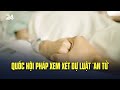 Quốc hội Pháp xem xét dự luật &quot;an tử&quot; | VTV24