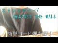 ストレイテナー  / AGAINST THE WALL  (cover)  簡単コード 弾き語り