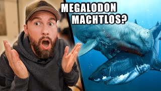 Er bekämpfte den MEGALODON? - Der Aufstieg & Fall des Livyatan... | Robert Marc Lehmann