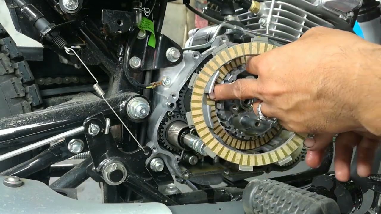 Barako 3 from Lucban & Alabat Quezon!!!! Kahit bago pa, Ganito agad ang gagawin para kundisyon