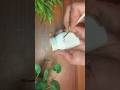 Bottle craft idea | waste material craft idea | hater kaj | painting #foryou #fyp #viral