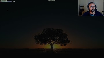 Building a debugger With Zig For Zig | Improving frame rate and cleaning up Render