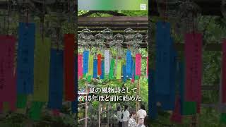 3500個の #風鈴 　初夏の風が不思議な音色に　福岡・小郡「 #かえる寺 」 #如意輪寺 #毎日新聞 #shorts