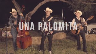 Video thumbnail of "Los Igualados - Una Palomita (en vivo)"