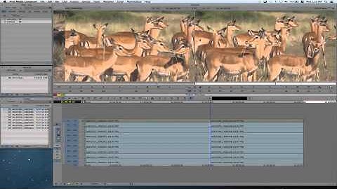 Product Review: XAVC Editing Workflow on MC7