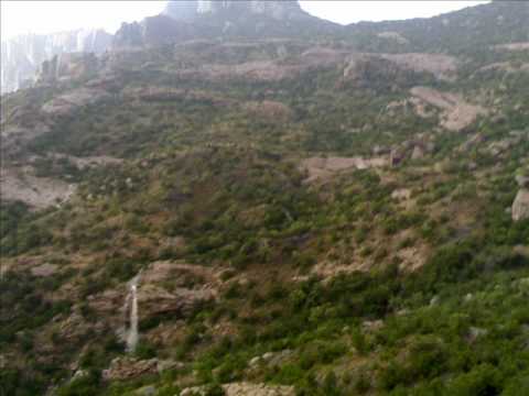 لعب شهري بالعود