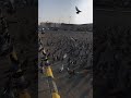 كم احسد الطير يوم يطير كم احسد الطير يوم يطير