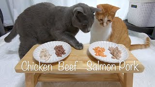 What do cats like to eat? Beef, Pork, Chicken or Salmon