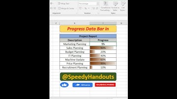 Progress Data Bar in Excel | Project Progress Bar | Progress Bar | Conditional Formatting in Excel