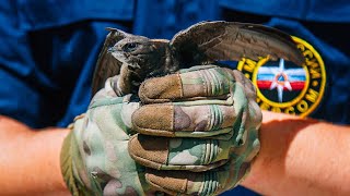 В Севастополе спасатели МЧС России помогли птице, попавшей в щель между бетонными перекрытиями