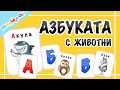 АЗБУКАТА С ЖИВОТНИ [карти]: Акула🦈, Бухал 🦉, Вълк 🐺, Гущер 🦎...