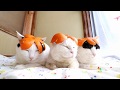みかんの皮帽子 Mandarin orange hat 200110