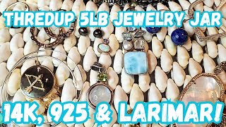 14k Gold, 925 Silver, Larimar & Moonstones! Thredup DIY 5lb Jewelry Jar Unboxing PA