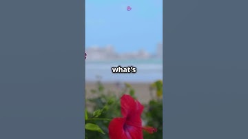 Your Profitable Niche in 30 Second 🚁 #shorts  #motivation