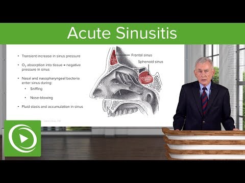 Acute Sinusitis – Infectious Diseases | Lecturio