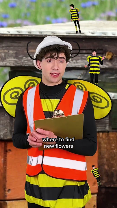 The Bee Dance #shorts