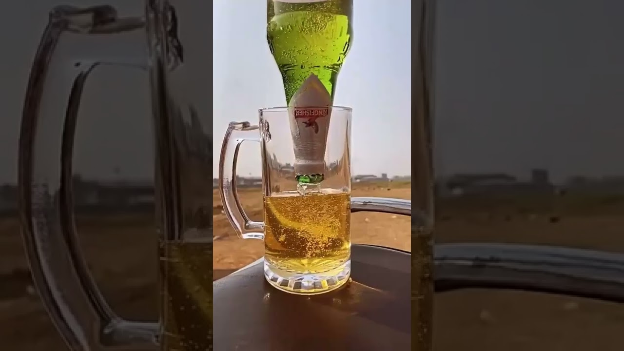 Drink Bear 🍺 ❤️ 