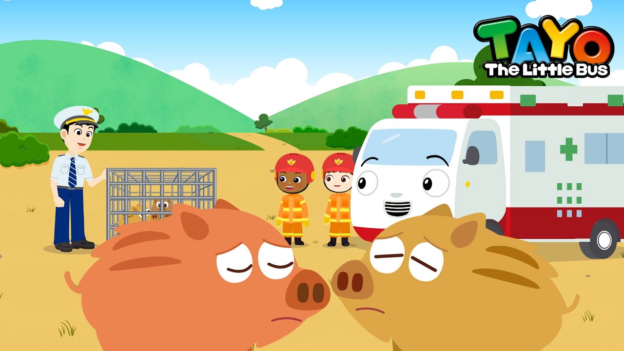 The Baby Boars Are in Danger | Tayo Animal Rescue Team | Rescue Team Episodes | Tayo the Little Bus