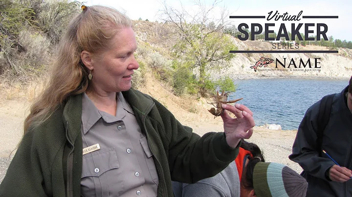 Investigating Crayfish + Freshwater Ecosystems Online