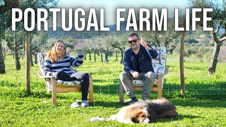 Devenir citoyen portugais: notre aventure sur une ferme au Portugal
