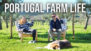 We are applying for our Portuguese Citizenship | PORTUGAL FARM LIFE