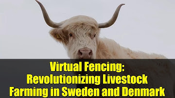 Virtual Fencing: Revolutionizing Livestock Farming in Sweden and Denmark